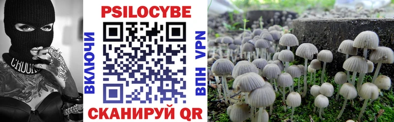 Псилоцибиновые грибы Psilocybine cubensis  Купить где  Карачев 